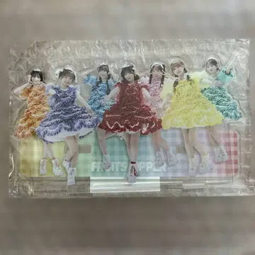 후르츠 지퍼 집합 아크릴 스탠드