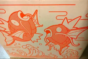 피카피카 박스 2026