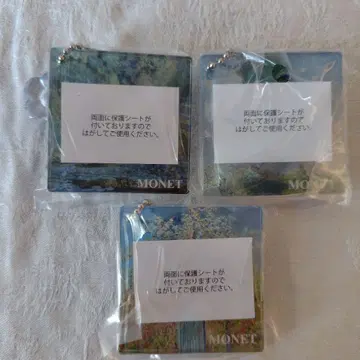 빛의 미술관 창가 모네의 추억 양산을 쓴 여성 모과나무 수련 연못