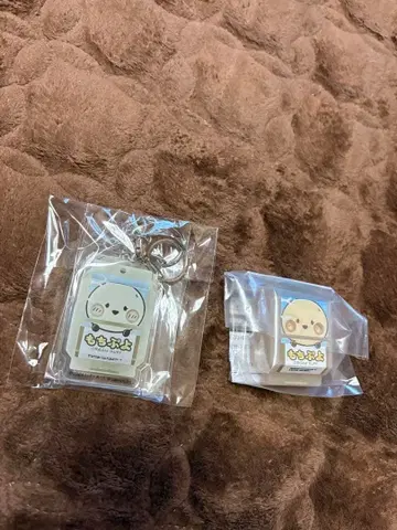 모치푸요 고치조