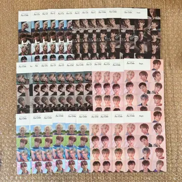 SEVENTEEN 세븐틴 스티커 An ode 정한 원우