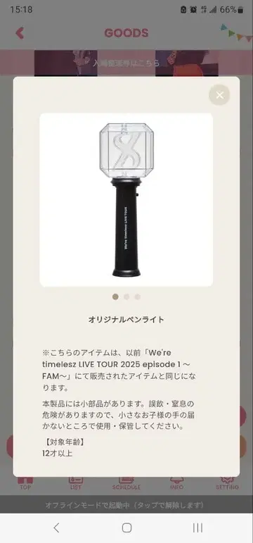 오리지널 응원봉 We're timeless