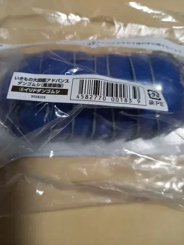 온라인판 생물의 대도감 어드밴스 이리도단고무시 중페인팅판