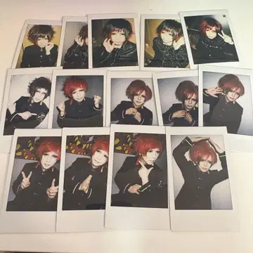 R지정 Z 폴라로이드