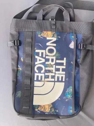 THE NORTH FACE 그래픽 백팩