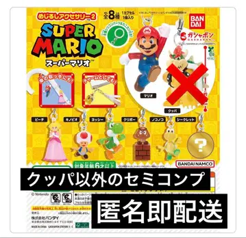 마리오 메지루시 액세서리 2차 세미 컴프 가챠