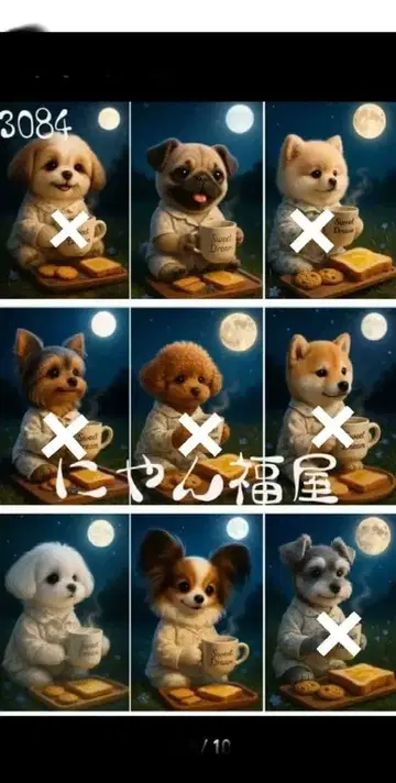 접수 밤하늘의 티타임