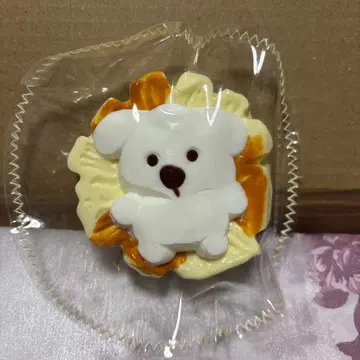 스퀴즈 강아지 파인애플