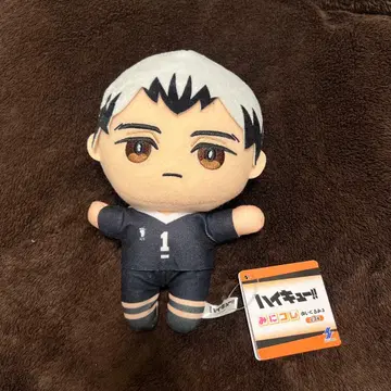 [프라이스] 하이큐!! 미니코레! 봉제 인형 3 키타 신스케