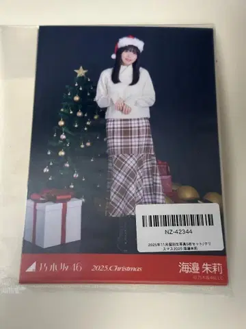 우미베 아카리 크리스마스 2025 노기자카 브로마이드