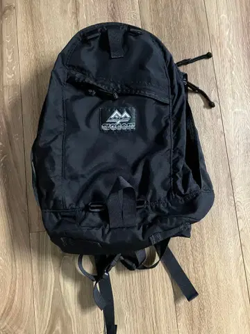 그레고리 빔즈 별주 40주년 데이팩 beams GREGORY