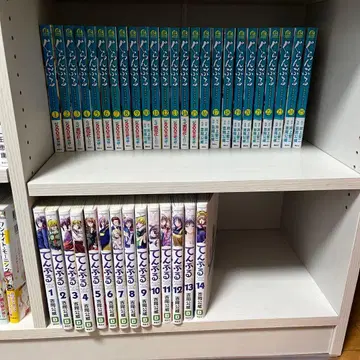 그랑블루 (전 25권) + 템플 (전 14권) 세트