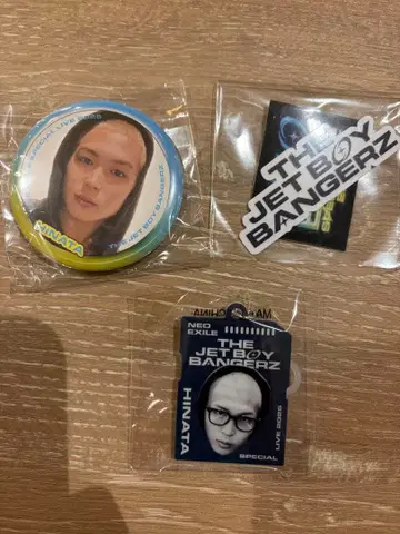 네오에그 가챠 TJBB HINATA 캔배치 마크 참 스티커