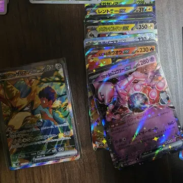 호프의 자시안ex sar