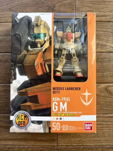 HCM pro 육전형 짐