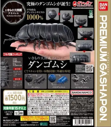 생물대도감 어드밴스 공벌레 전 3종류 세트 캡슐 토이판