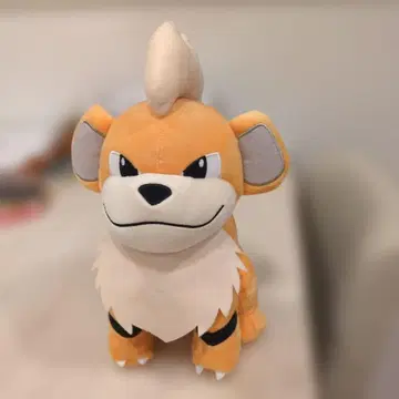 포켓몬스터 모후굿토 봉제 인형 ~파이리 꼬부기~ 잘 부탁드립니다!