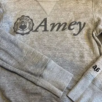 아메리카나 Amey 그레이 로고 트레이닝복