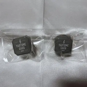 아이나나 야오토메 가쿠 링 라이트 10주년