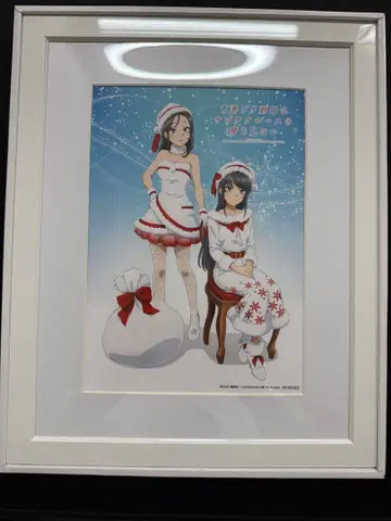 청춘 돼지 녀석은 산타클로스의 꿈을 꾸지 않아 캐릭터 파인그래프