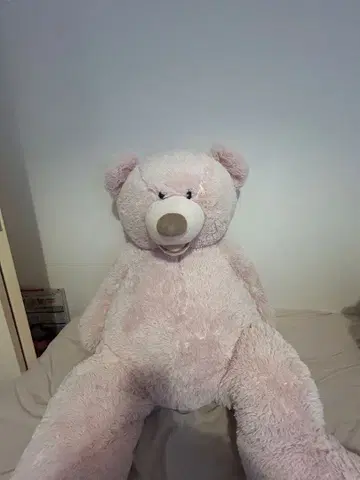 코스트코 커다란 핑크 곰 봉제 인형