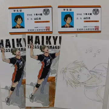 하이큐전 엽서 야마구치 타다시 학생증