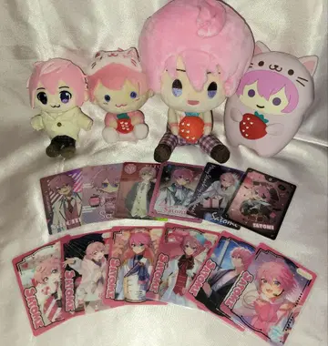 스토푸리 사토미 묶음 판매