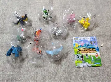 포켓몬 겟 컬렉션즈 검 포켓몬과 함께 두근두근 어드벤처!