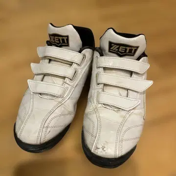 ZETT 트레이닝 슈즈 24.5cm 화이트