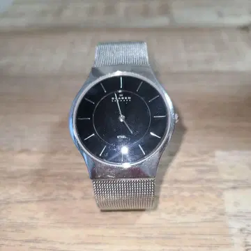 SKAGEN 블랙 손목시계 스테인리스