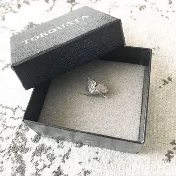 TORQUATA 호랑나비 날개 접은 반지