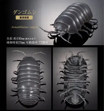 생물대도감 어드밴스 공벌레 온라인 한정판 중채색판 1공벌레