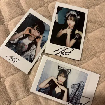 미나세 사라라 폴라로이드