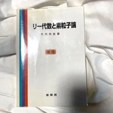 리 대수와 소립자론