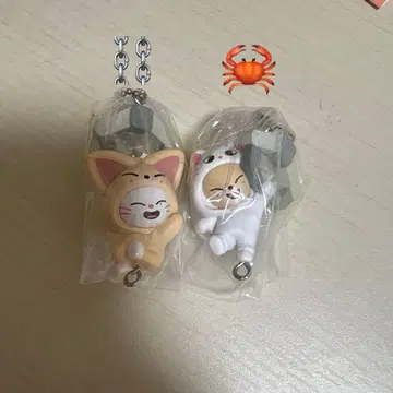 SKZOO 츠만데츠나게테마스코토 폭시니 지니레트