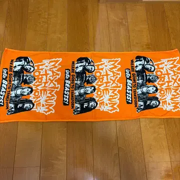 Transform into BEASTS TOWEL