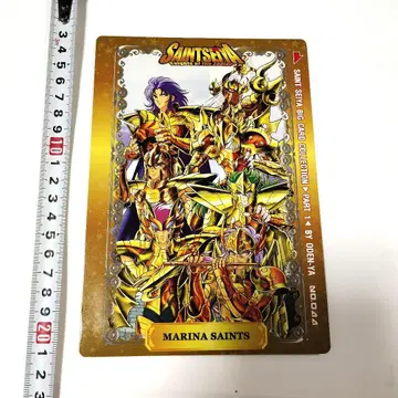 세인트 세이야 BIG 카드 카논 해투사 ODENYA 도에이 TOEI