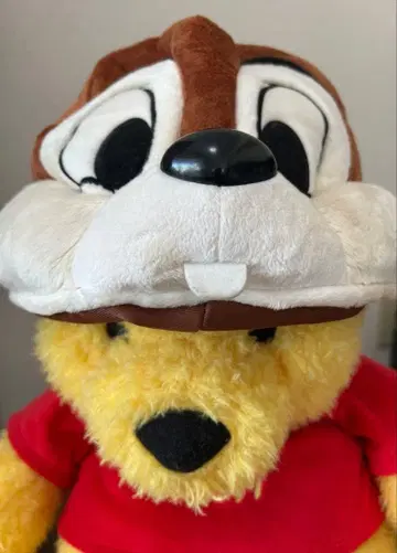 칩 팬캡/디즈니랜드