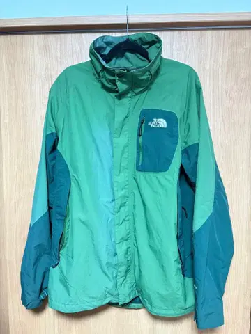 THE NORTH FACE 마운틴 후드티 그린