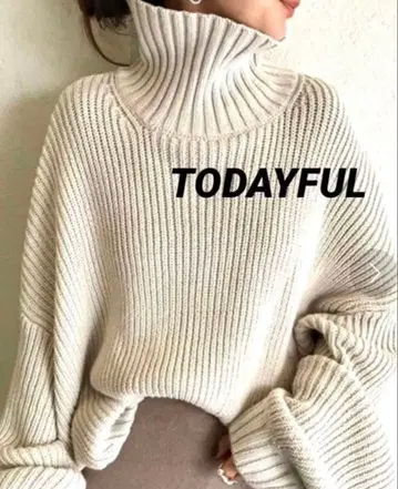 TODAYFUL 벌키 오버 니트 하이넥 터틀넥