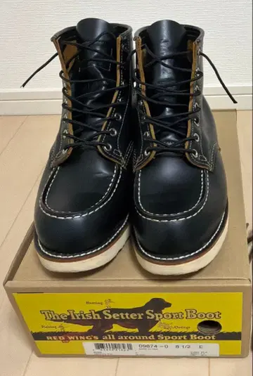 레드윙 차심 9874 아이리쉬 세터 클론다이크