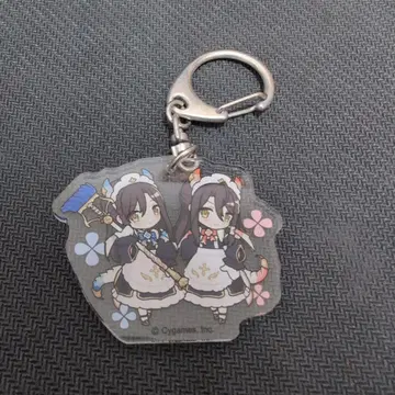 프리코네 린 브룸 코스모 월드 콜라보 시크릿 프린세스 커넥트