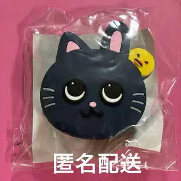 RIIZE 원빈 부채 액세서리 랜덤 토이 랜덤 토이