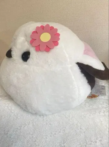 복복 시마연가 컬러풀 플라워 거베라 BIG 택 포함 새상품