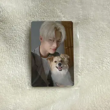 ENHYPEN 설문 트레이딩 카드 니키