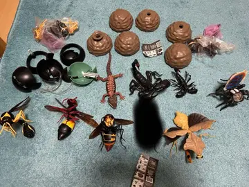 곤충 파충류 캡슐 토이 세트 생물대도감 토쿠리바치