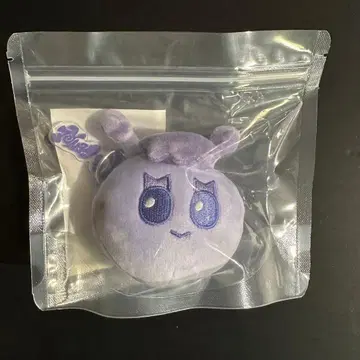 BOYNEXTDOOR 푸쉬넥도 이한 키링 보넥도