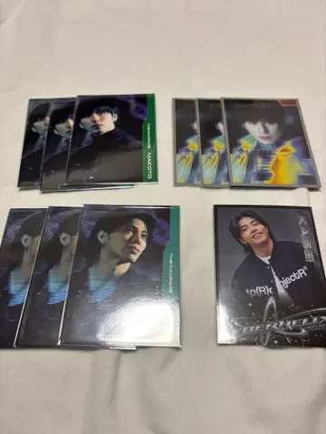 란페 하세가와 신 타케치 카이세이 트레이딩 카드 10장 세트