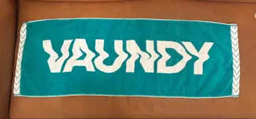 vaundy 타월 그린 x 화이트
