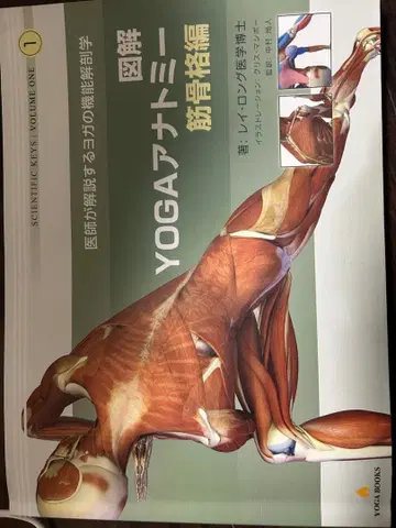 도해 YOGA 아나토미 근골격편